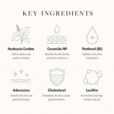 Heartleaf 70% Intense Calming Cream, calmer skin and a stronger barrier — image 02