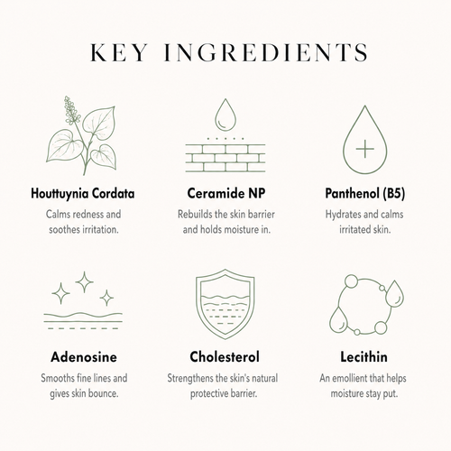 Heartleaf 70% Intense Calming Cream, calmer skin and a stronger barrier