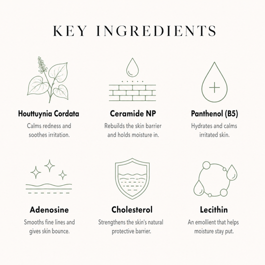 Heartleaf 70% Intense Calming Cream, calmer skin and a stronger barrier — image 02