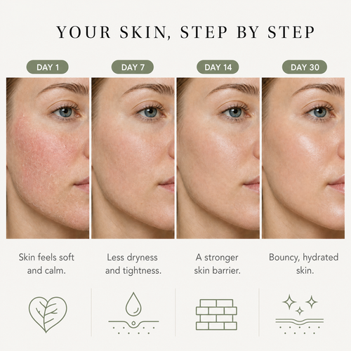 Heartleaf 70% Intense Calming Cream, calmer skin and a stronger barrier