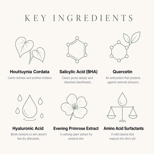Heartleaf Deep Cleansing Foam with Salicylic Acid