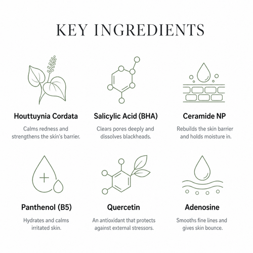 Heartleaf Complete Skincare Routine, 4 steps to calmer skin