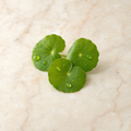 Niacinamide and centella