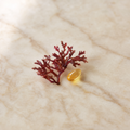 Red algae extract and vitamin E